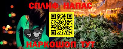 гидра Краснодар