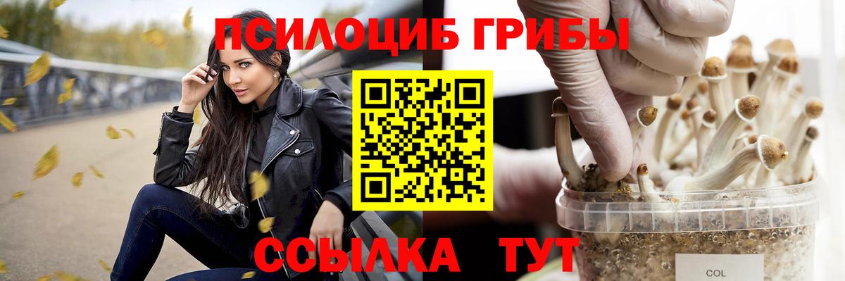 продажа наркотиков  Вход с VPN  Жигулёвск  Псилоцибиновые грибы прущие грибы 